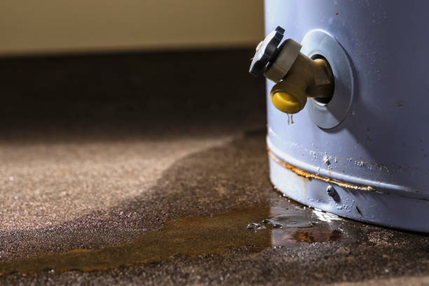 Best Ceiling water damage repair  in New Beaver, PA