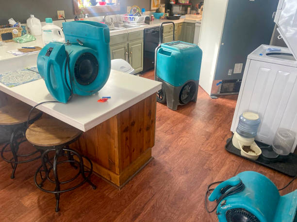 Best 24/7 water damage repair  in New Beaver, PA
