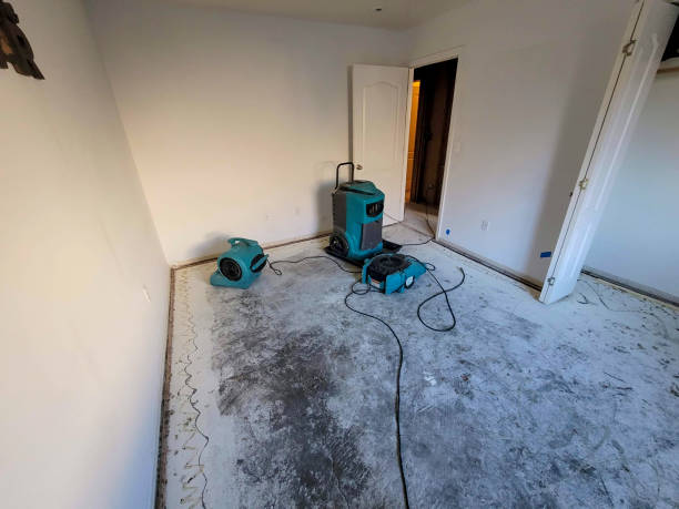 Best Flooded house restoration  in New Beaver, PA