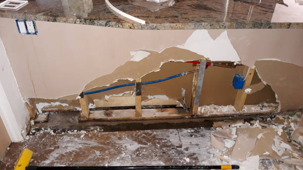 Best Carpet water damage restoration  in New Beaver, PA