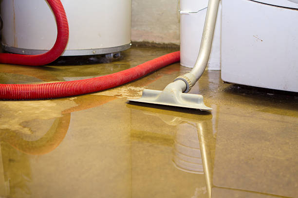 Best Water damage restoration near me  in New Beaver, PA