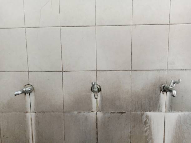 Best Water damage cleanup near me  in New Beaver, PA