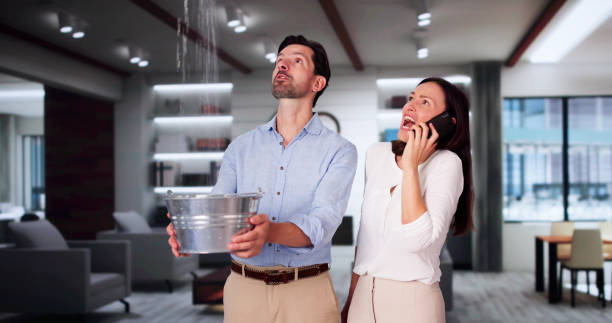 Best Residential water damage restoration  in New Beaver, PA